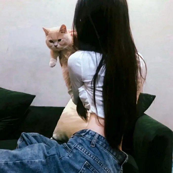 刚果